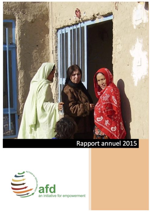 AfD-Annual-Report-2015