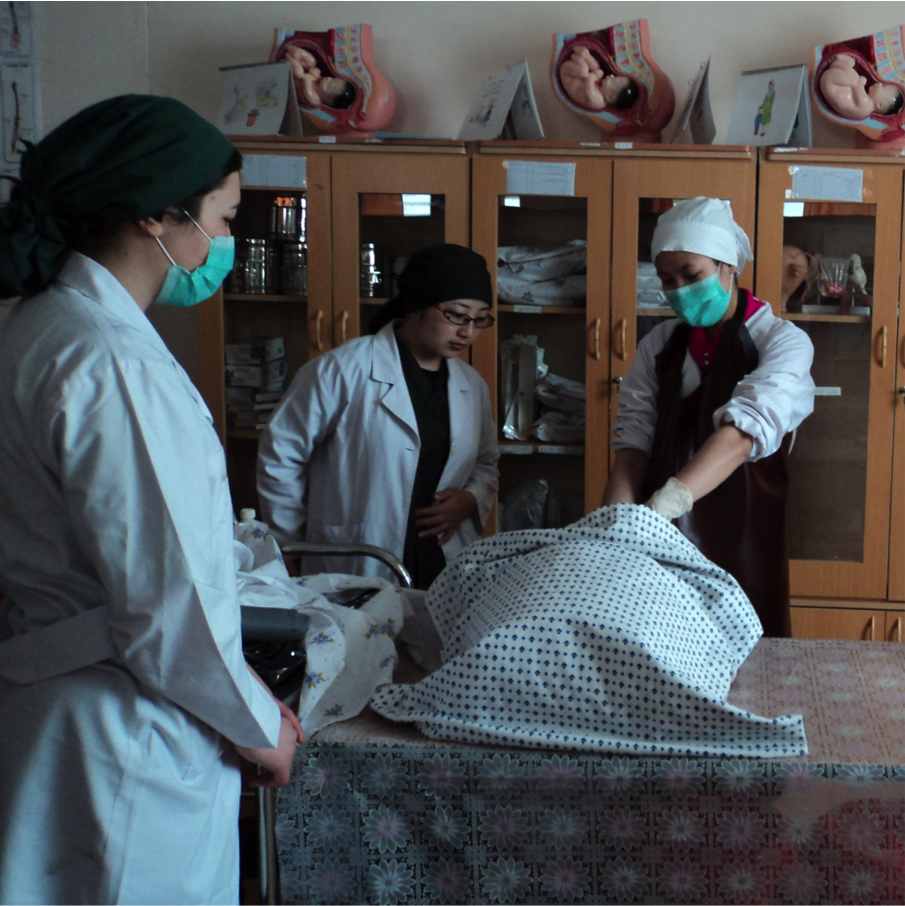 Aperçu du Taux de Mortalité Maternelle en Afghanistan